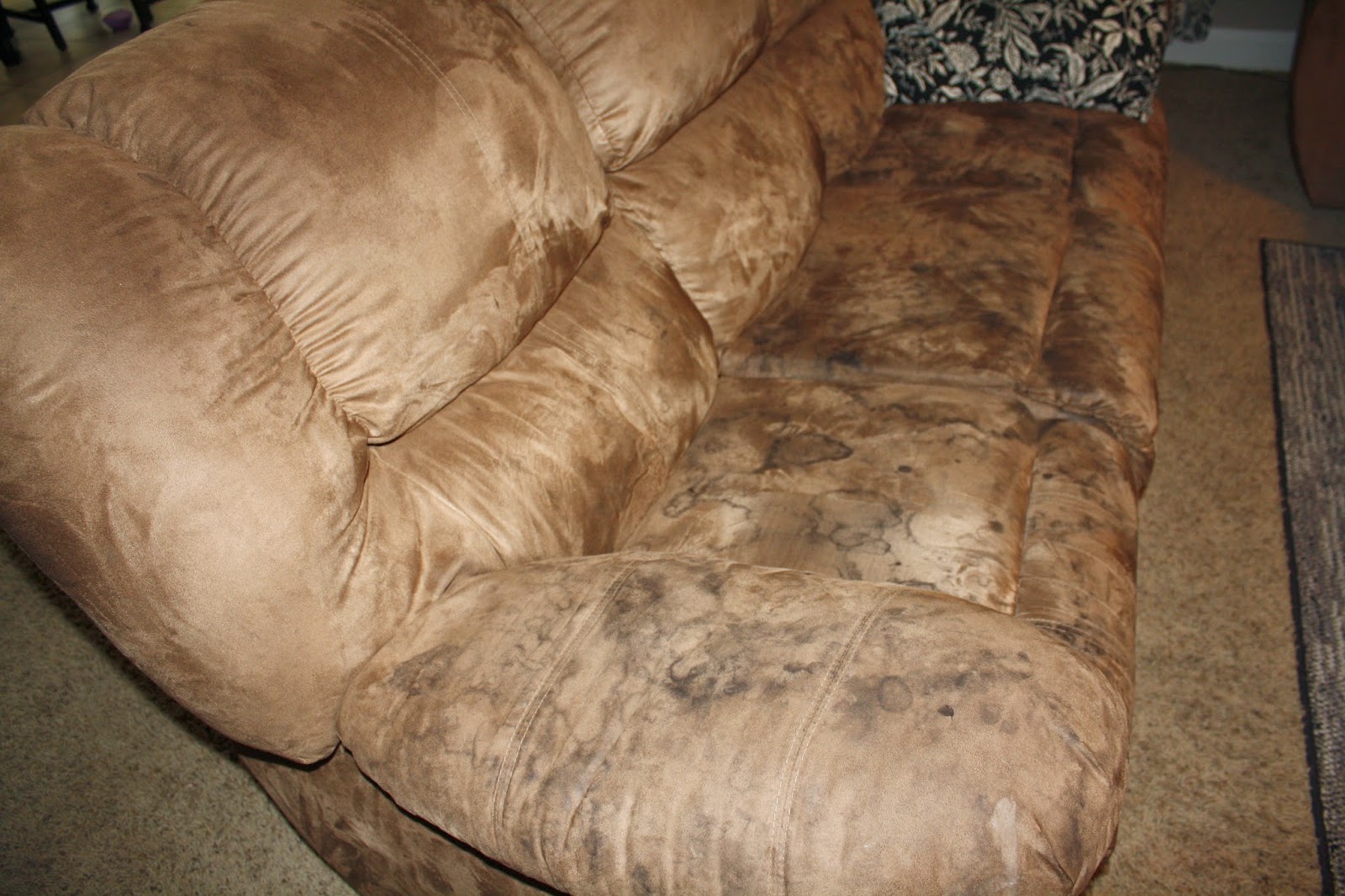 A light gray microfiber couch cushion with a visible circular water ring near the center, photographed in soft natural window light
